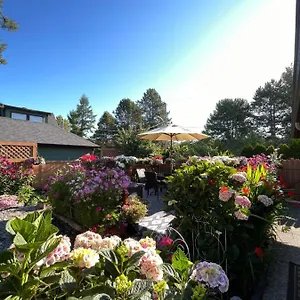 Garden In -beautiful In Guest house